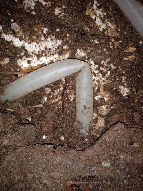 阳西堵点精准查找